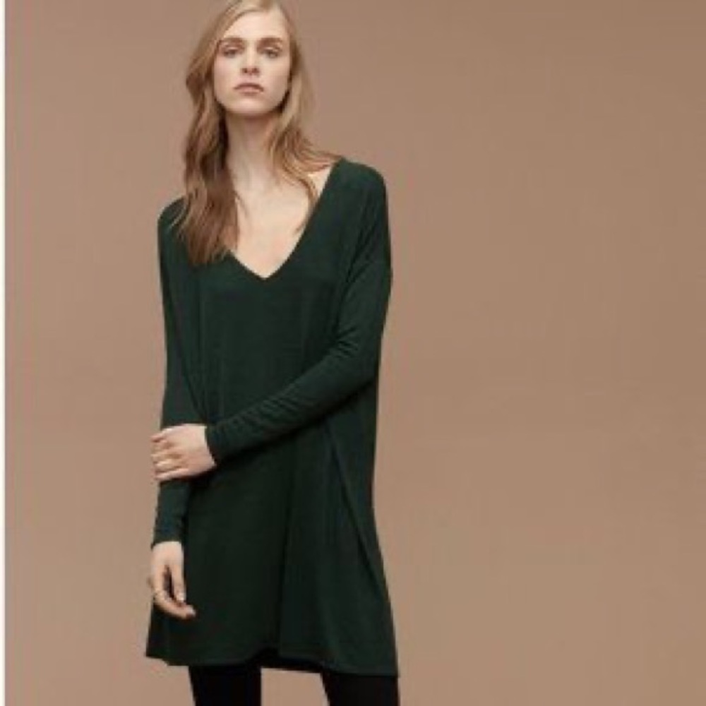 Aritzia Wilfred long sleeve dress